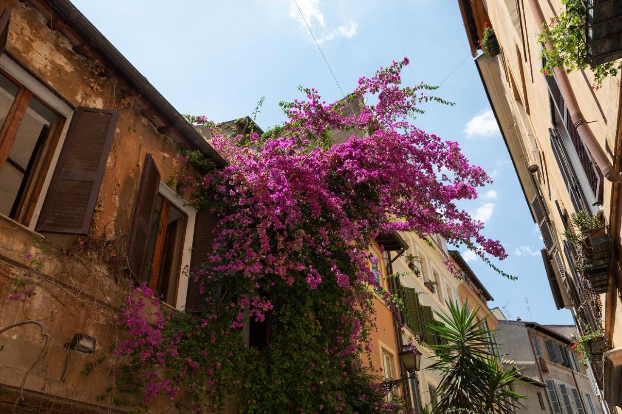 רומא Campo Dei Fiori Palace,Piazza Navona מראה חיצוני תמונה